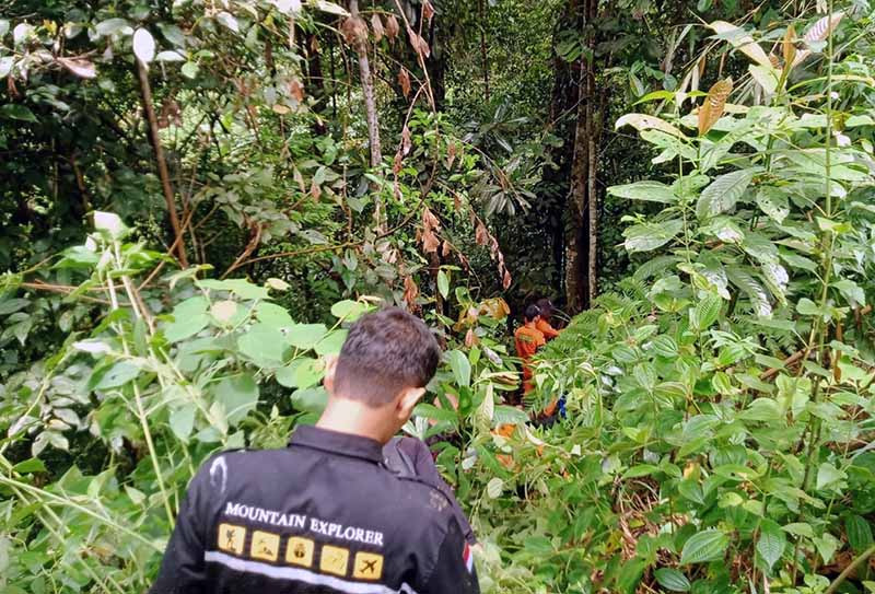 Hari Kelima, Tim SAR Perluas Area Pencarian Kakek Hilang di Perkebunan Kayu Manis