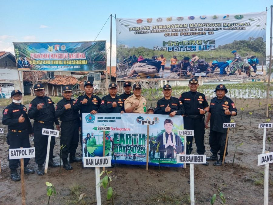 Kodim Brebes Bersama Senkom Adakan Restorasi Mangrove di Pesisir Pantai Randusanga