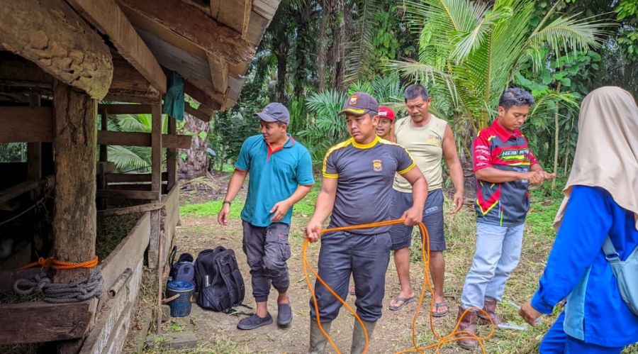 Peduli Hewan Ternak, Senkom Merangin Bantu Layanan Kesehatan Hewan
