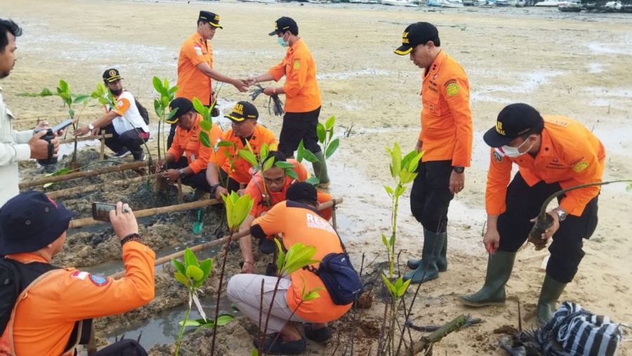 Peduli lingkungan, Senkom Mitra Polri Tanam 500 Bibit Mangrove