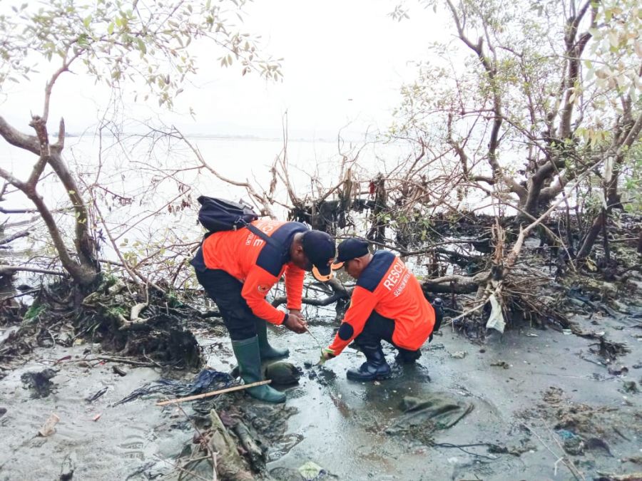 Senkom Rescue Tanam 1000 Mangrove Hijaukan Pantai Keteguhan Peringati HPSN