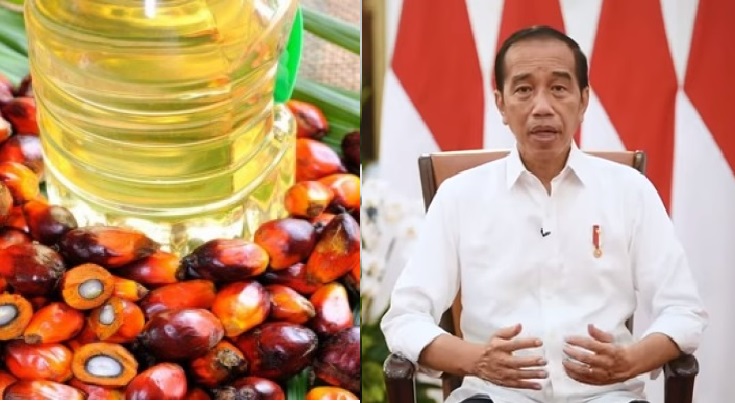Presiden Jokowi: Eksport Minyak Goreng Akan Dibuka Kembali, Ini Alasannya