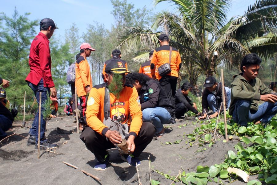 Senkom Rescue  Ikut Tanam 3.000 Cemara Laut Perlindungan Abrasi Di Pesisir Cilacap