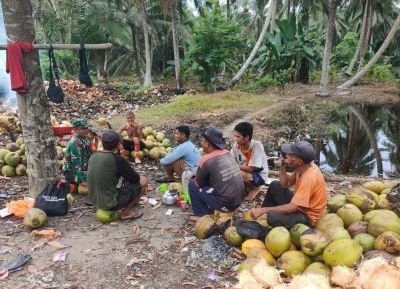 Babinsa Koramil 10/Pelangiran Turun Langsung Dampingi Petani Kelapa, Dorong Penguatan SDM Pekebun