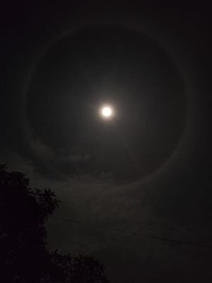 fenomena-halo-bulan-hebohkan-warga-karang-jati-langit-malam-dihiasi-cincin-cahaya